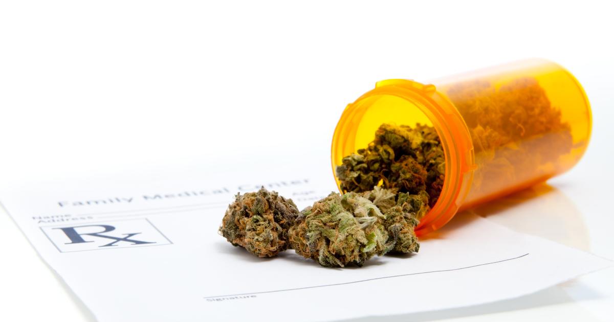 Ny undersøgelse lavet af syv patientforeninger afslører store mangler i  forsøgsordningen for cannabis | Danske Patienter